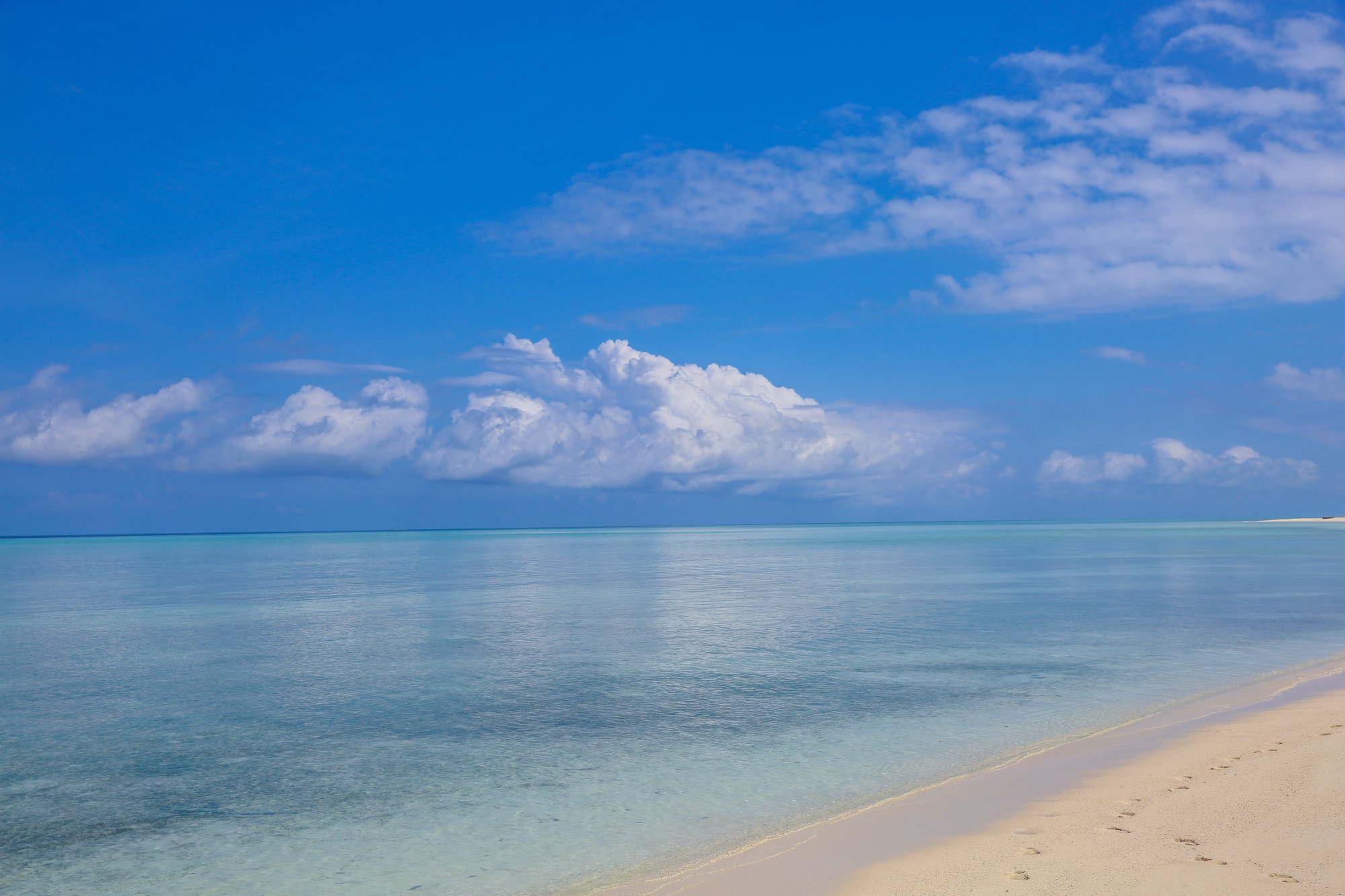 香港高才通,香港移居