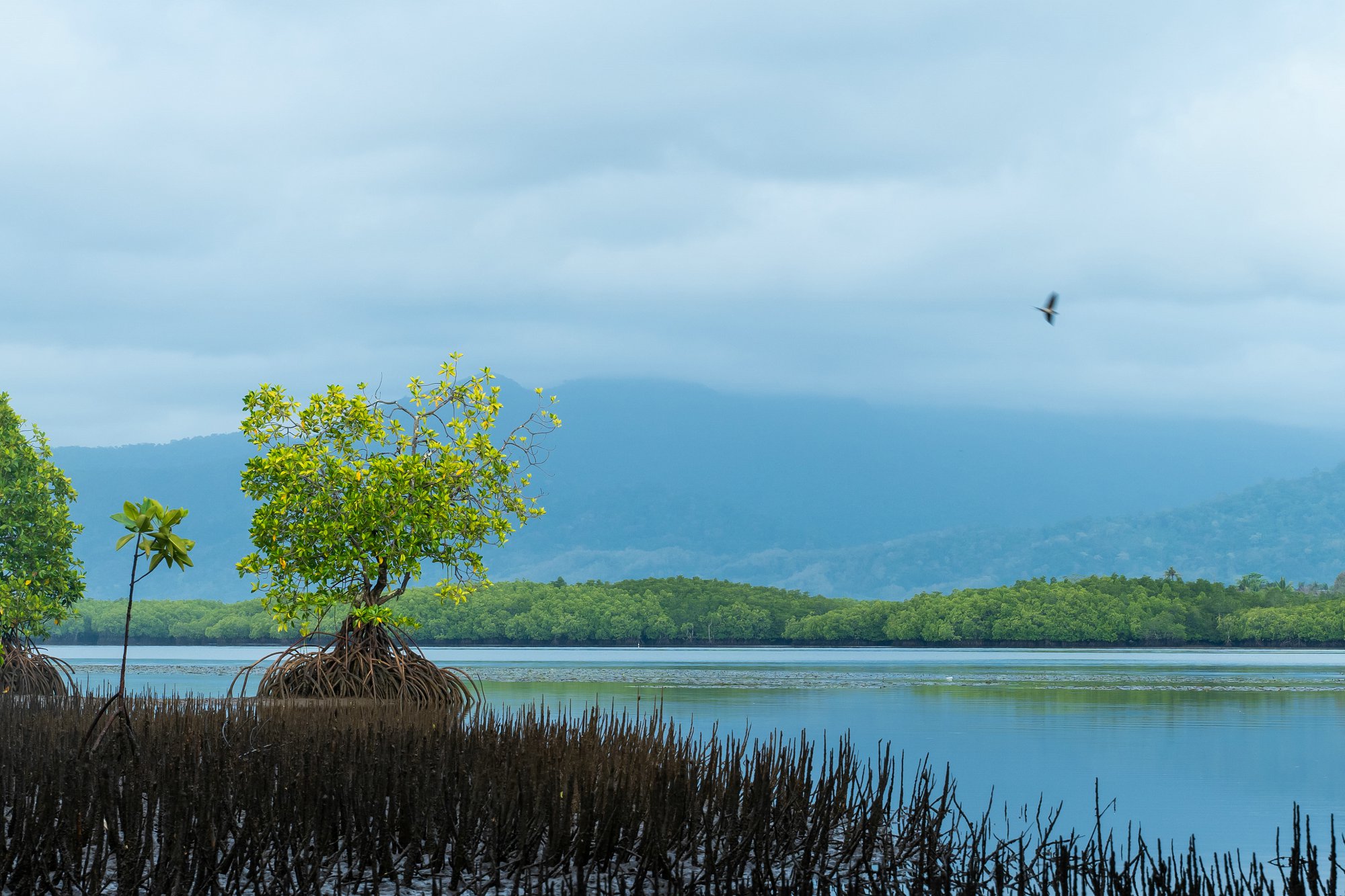 馬耳他永居,馬耳他永居辦理費(fèi)用