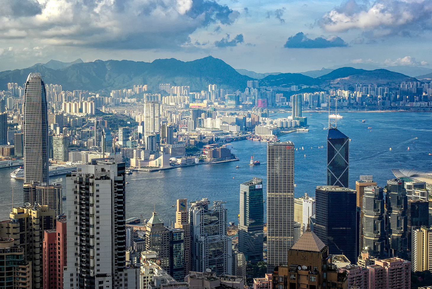 香港高才,香港優(yōu)才