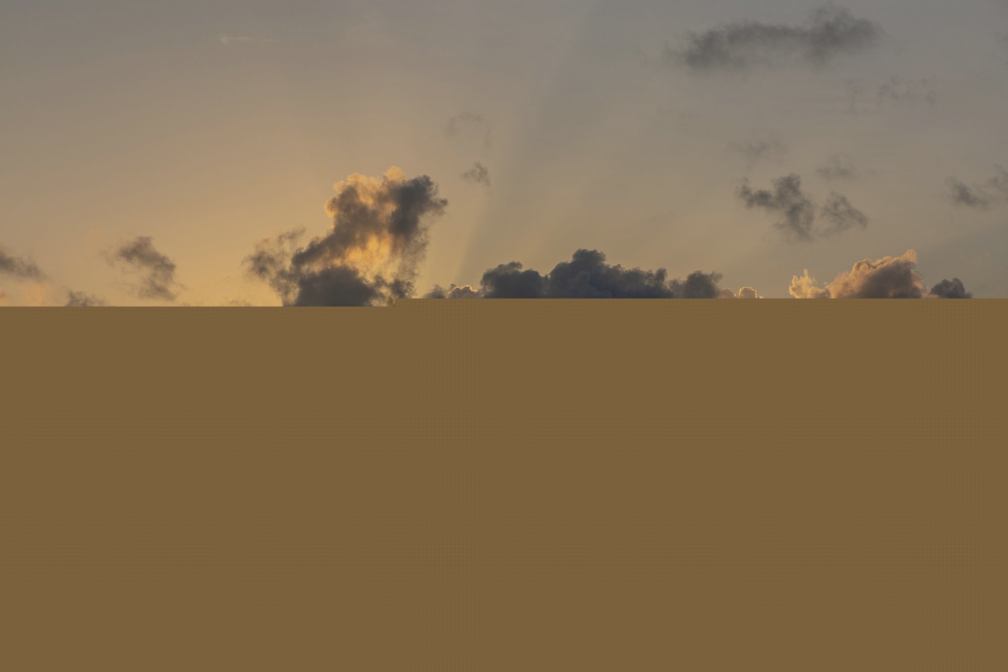 馬耳他移民,辦理馬耳他移民