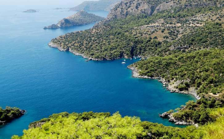 這個(gè)快速拿大國(guó)身份、曲線赴美的項(xiàng)目也快“淪陷”了？