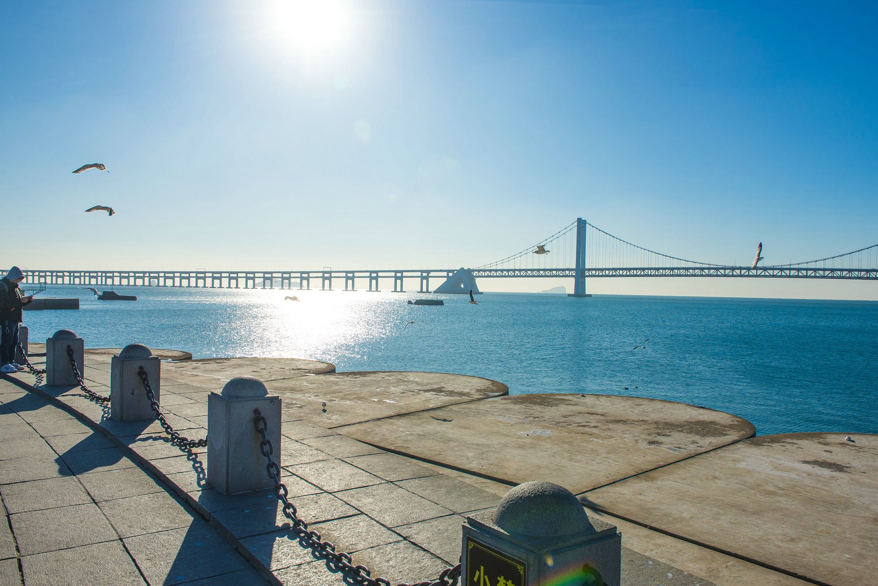 美國移民,美國綠卡