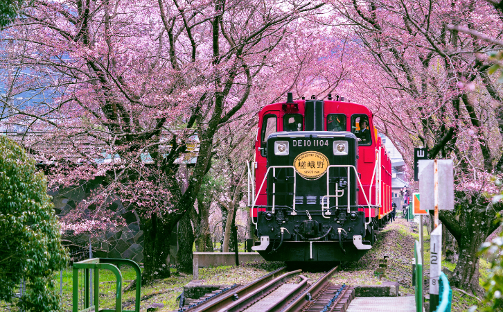 畢業(yè)于這26所院校的人士看過來！現在申請日本高級人才簽證可以疊buff
