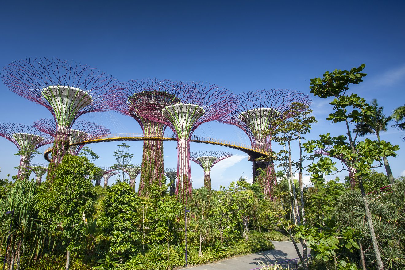 新加坡EP準(zhǔn)證,新加坡EP準(zhǔn)證適合什么人申請(qǐng)