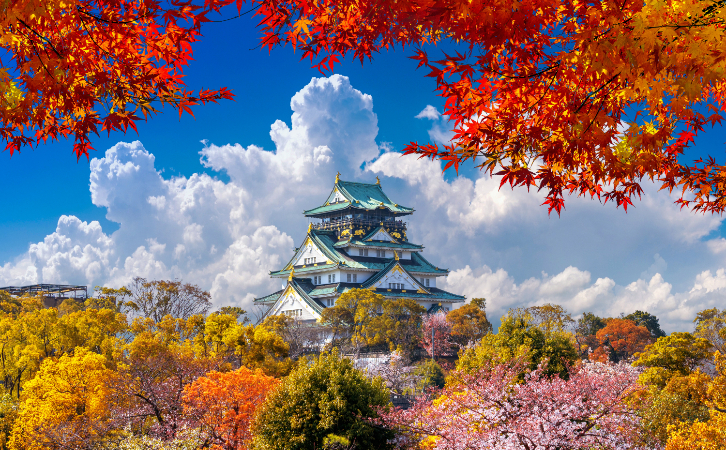 半年激增18萬人？！現(xiàn)在想移居日本，到底有什么方法？