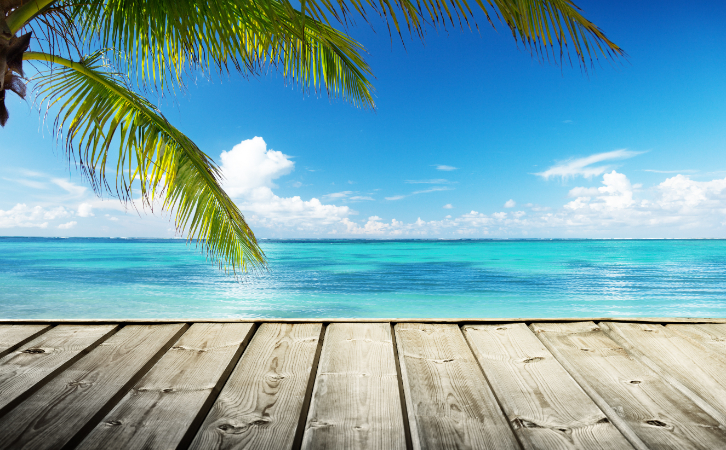 想低門檻、快速拿綠卡？它會不會成為未來的“黃金項目”？