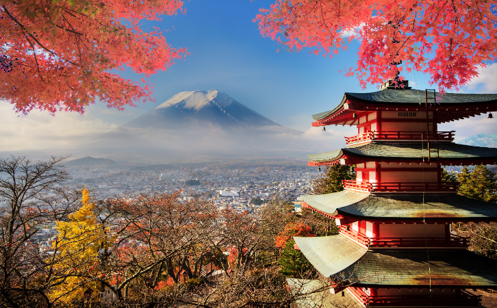 移居日本的中國(guó)人數(shù)多了4倍？看到這些原因，完全理解了！