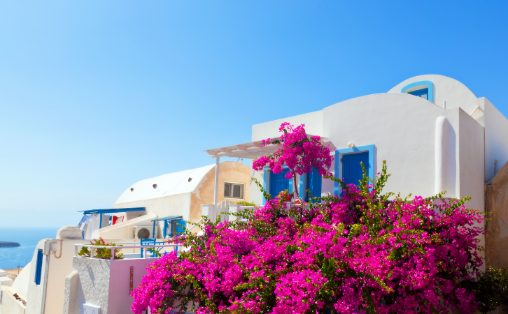 一年申請量多達9000+宗？居然連漲價也擋不住大家對它的喜愛