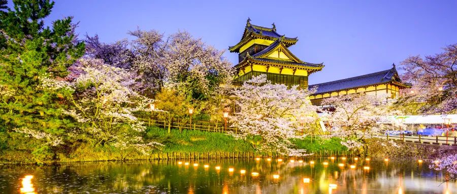 新增4所高校！這31所中國高校畢業(yè)生請(qǐng)注意！申請(qǐng)日本永住“快速通道”可加分