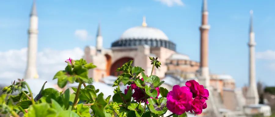 買房就“送”大國公民身份？全球貿(mào)易戰(zhàn)下，它的企業(yè)避風(fēng)港屬性藏不住了