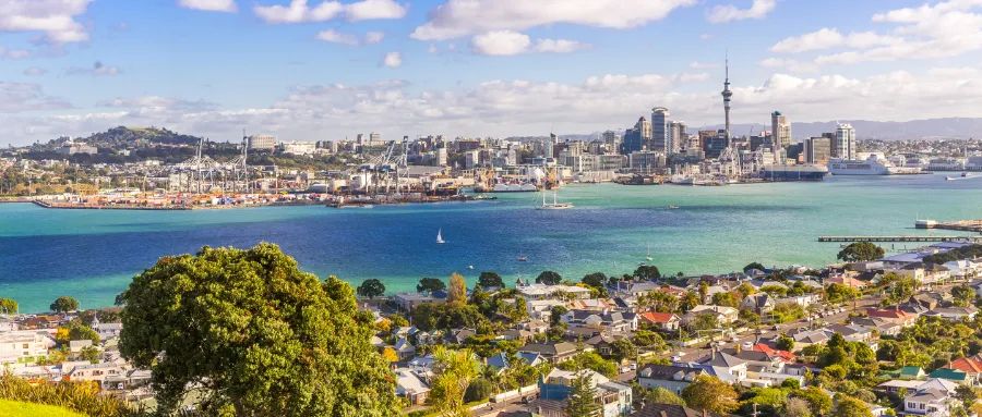 開放不到1個月，竟然有7份申請獲原則性批準？門檻一降低，馬上就爆紅了