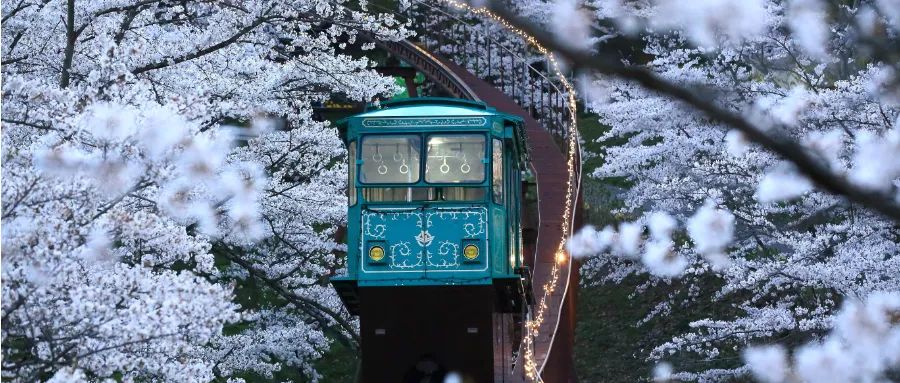 跟“包郵區(qū)”差不多大小的它，竟成為全球最想移民國家之一，中國緊隨其后？