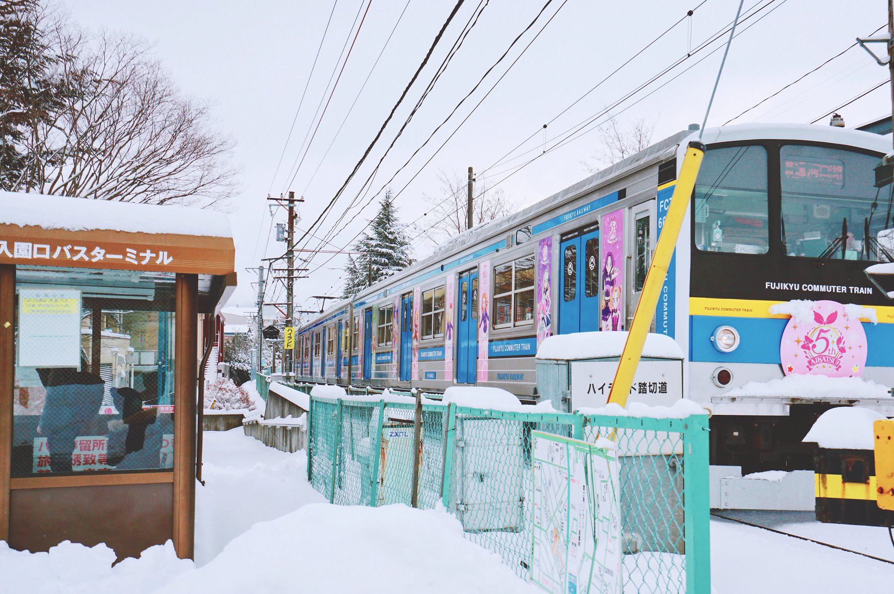 日本杰出人才移民,日本移民