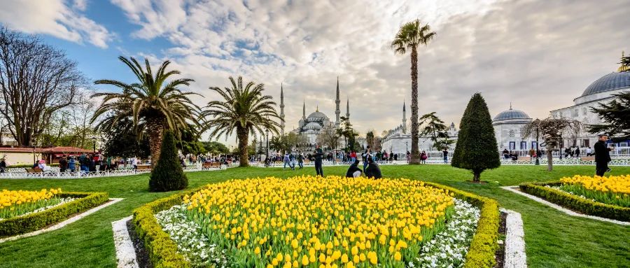 外國人購房占比1.5%？因買房“送”身份失吸引力？