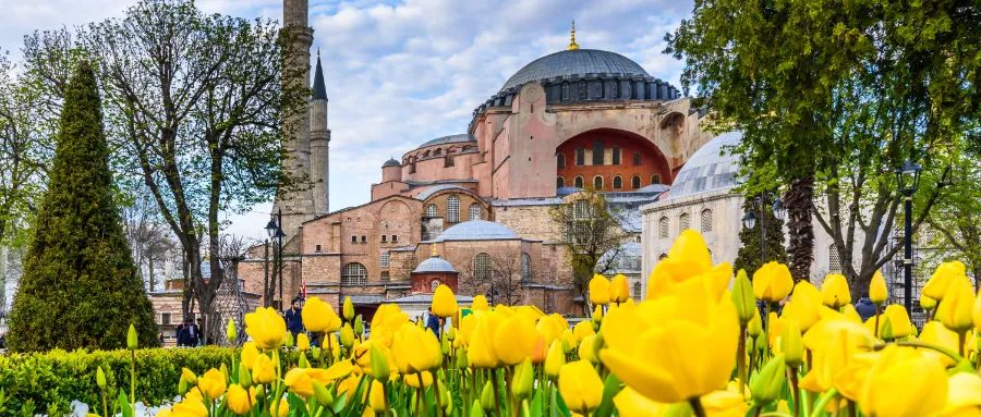 2691人身份“爆雷”|“打1折”4萬美元“買”護(hù)照+房產(chǎn)，您敢信？