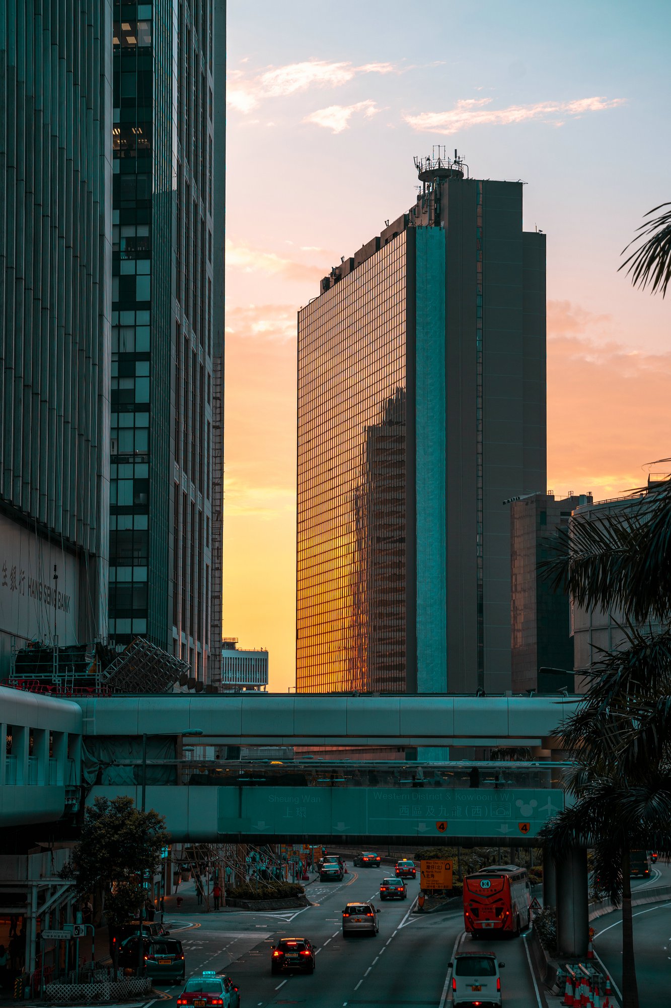 香港專(zhuān)才計(jì)劃,移居香港