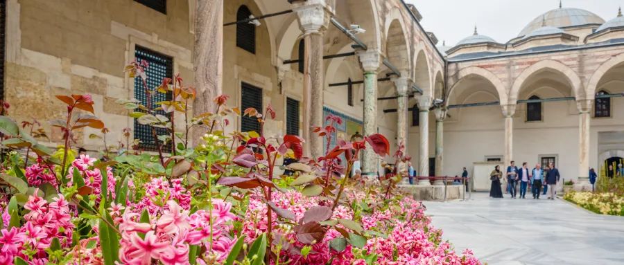 已獲"價值3000萬"香港身份，為何還要加辦一個Plan B身份？