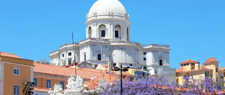 聽說有美、澳國籍的好萊塢著名女星移居到這里？為何大國人士紛紛“擠入”小國家？