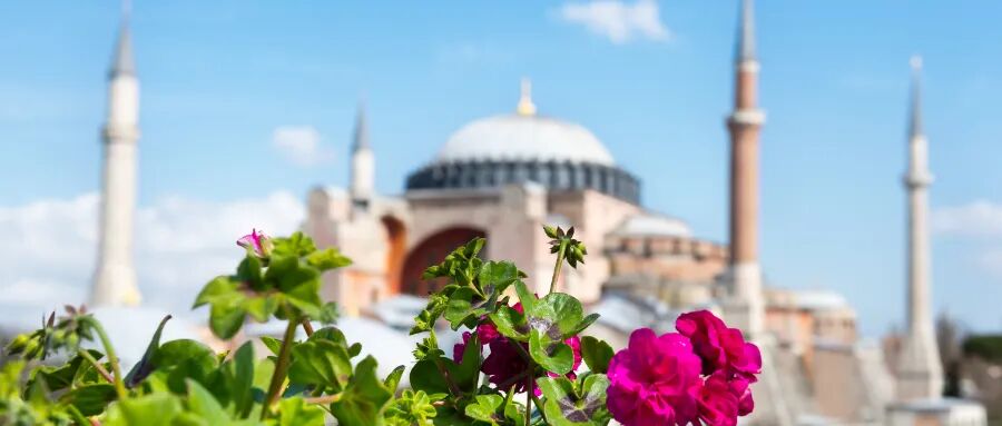 “特殊”保護政策終止！這會讓原本就火爆的購房移民方式更火爆嗎？