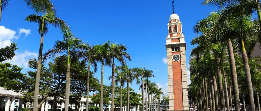 深扒才發(fā)現(xiàn)，這個無年齡上限限制、無語言、學歷要求的香港身份項目，比想象中更“寬松”