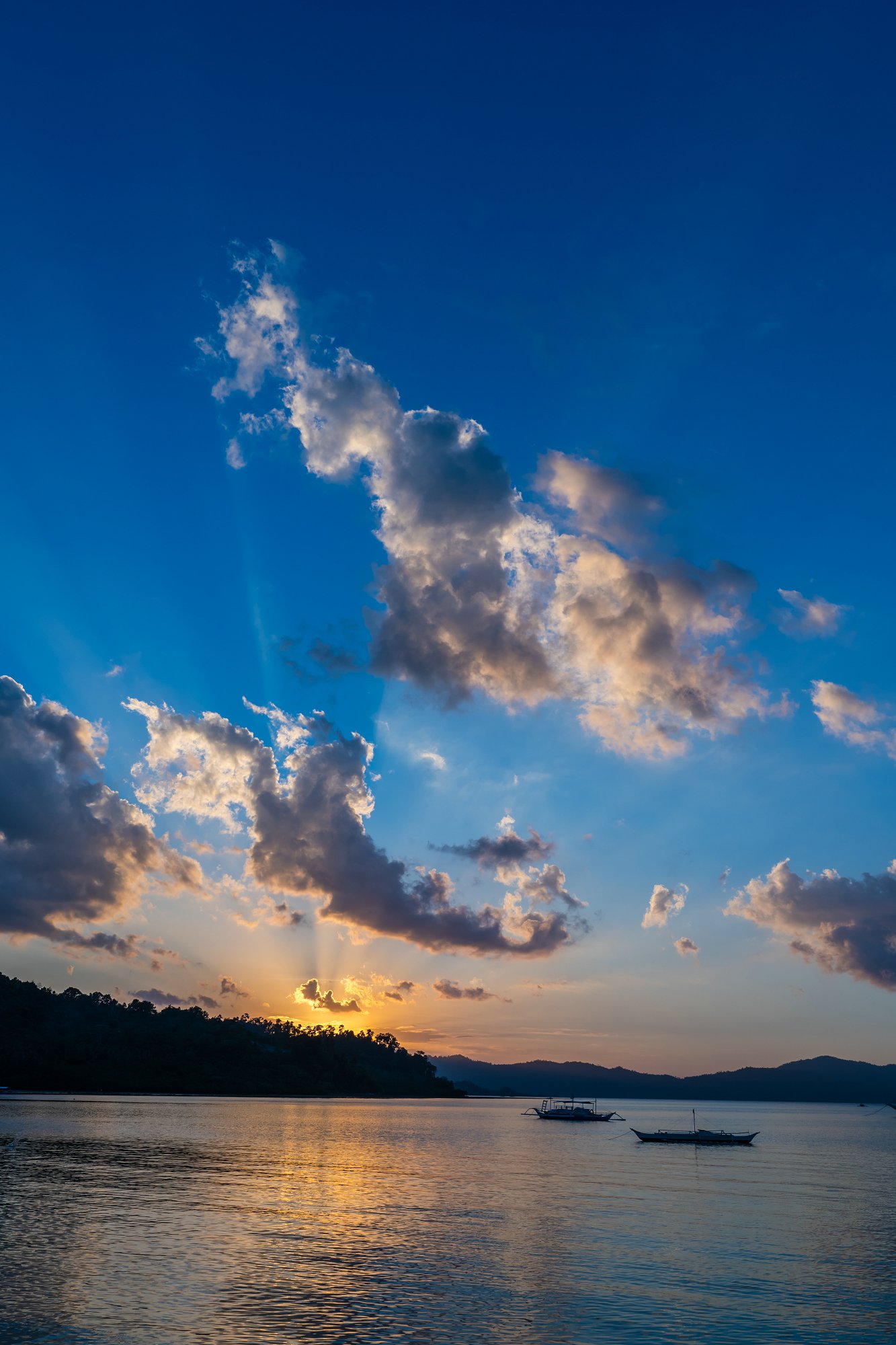 新西蘭積極投資者Plus簽證,新西蘭積移民