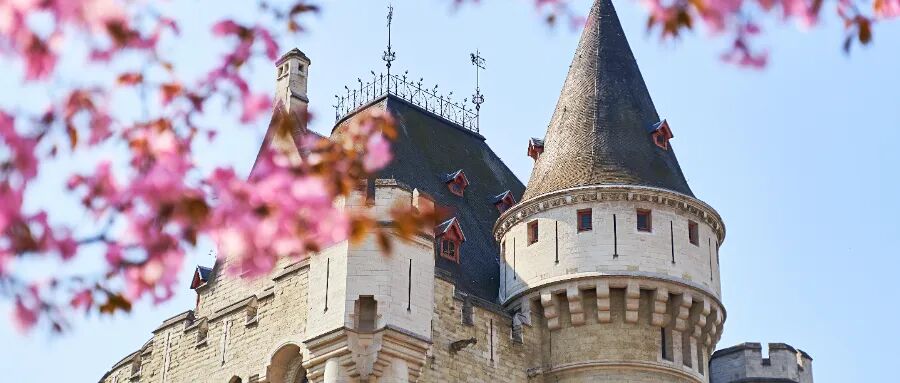 1=36指日可待？！“超級大國”即將繼續(xù)擴大，這些身份價值要猛漲了？