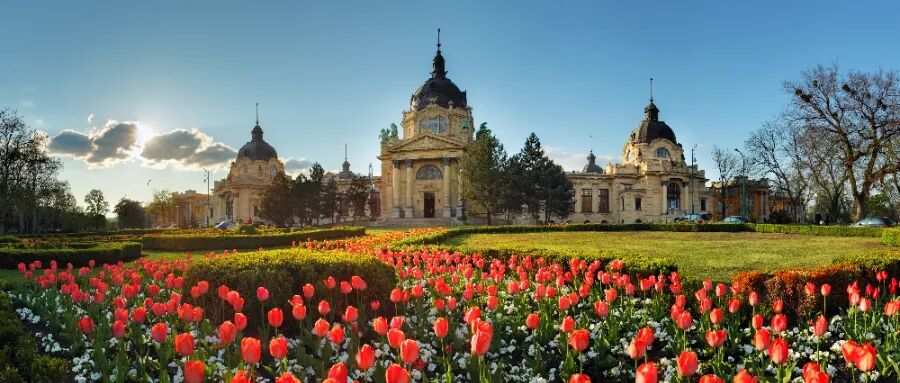 ￥200萬即可拿下長達10年居留身份？這個低調(diào)的寶藏國家，原來很適合中國家庭